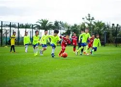 世卫专家呼,年体育赛事,重启或暂停,球速体育平台,球速体育官方网站,球速体育登录入口,球速体育app下载