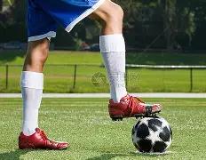 大亚湾绿化,提升助力城,市美学与活,球速体育平台,球速体育官方网站,球速体育登录入口,球速体育app下载