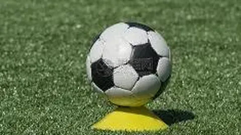 巴西友谊赛：米利唐制造点球+离场，1-0获胜