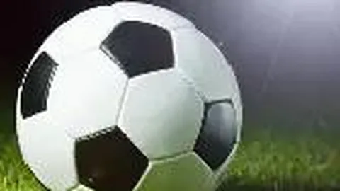 布朗半场高效输出，杰伦·布朗14分6助，普理查德13分8助领跑数据