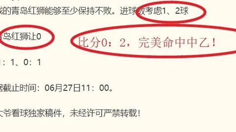 球速体育 083424