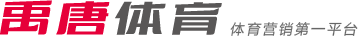 场球衣设计
